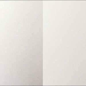 Meet your Posher, Savannah